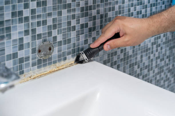 Best Residential Mold Removal  in Westminster, CO